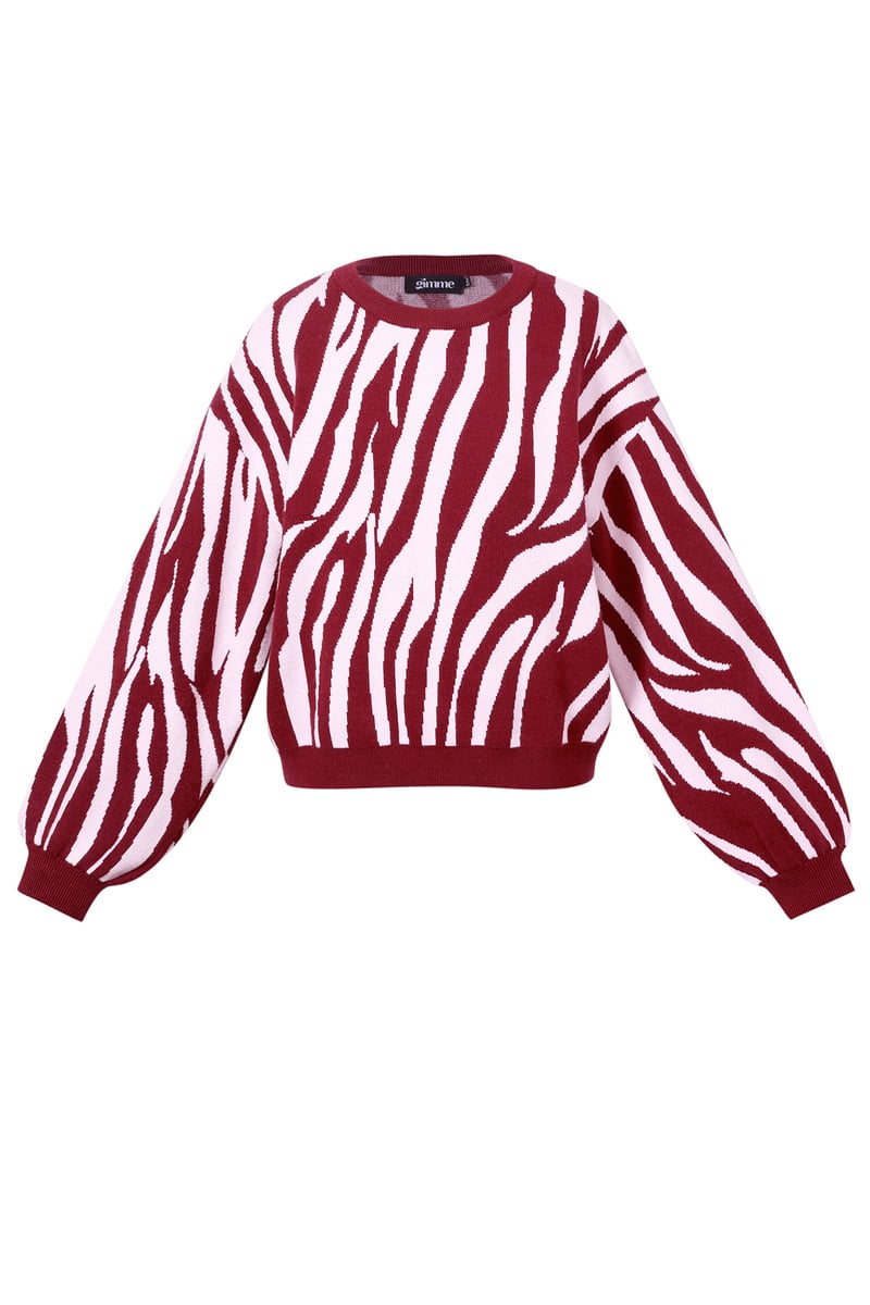 Knitted sweaters Zebra stripes Casual autumn/winter clothing